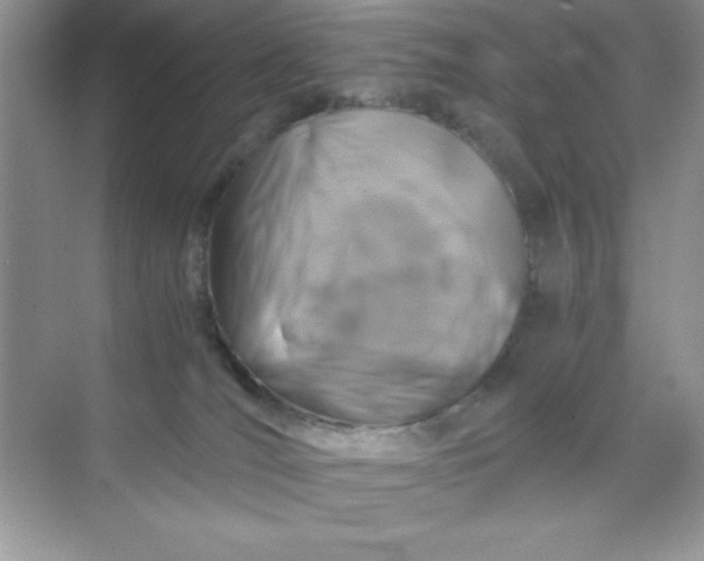 X0000071900036200607212028