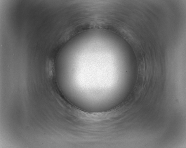 X0000071900038200607212028