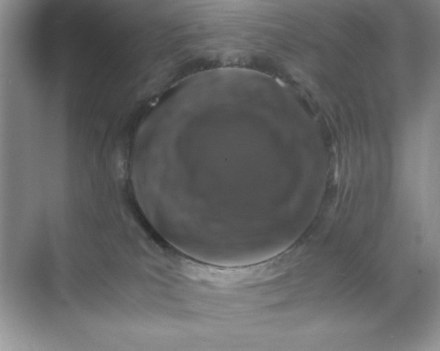 X0000071900039200607212028