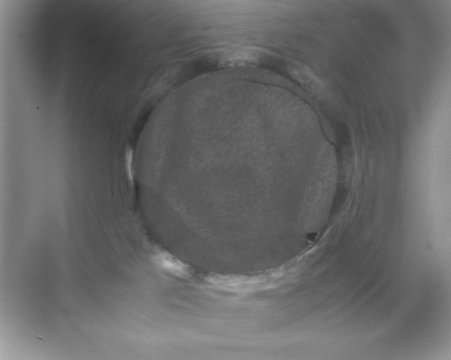 X0000071900041200607212028