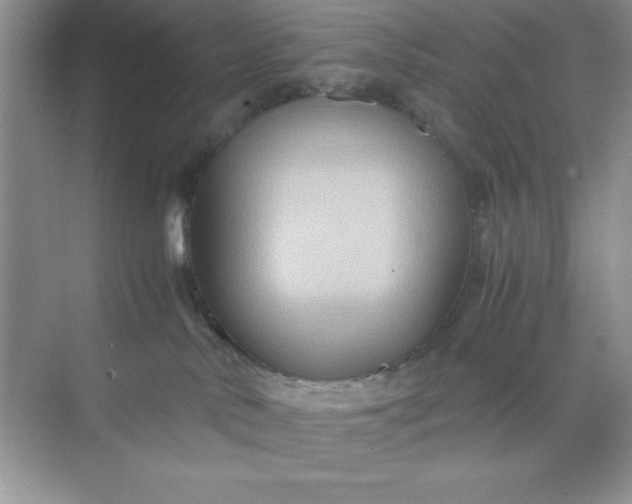 X0000071900042200607212028