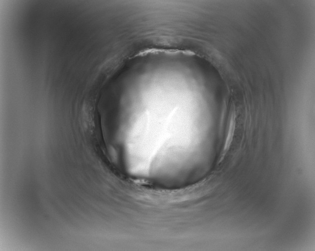 X0000071900043200607212028