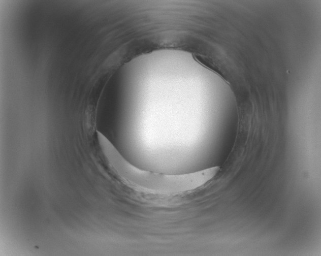 X0000071900044200607212028