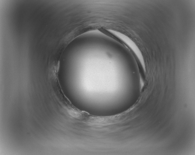 X0000071900045200607212028