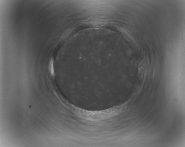 X0000071900046200607212028