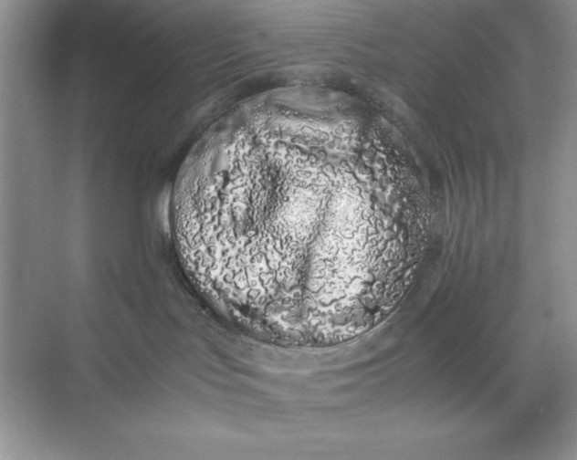 X0000071900047200607212028