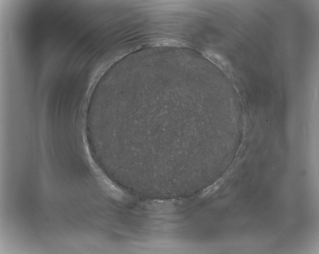 X0000071900049200607212027