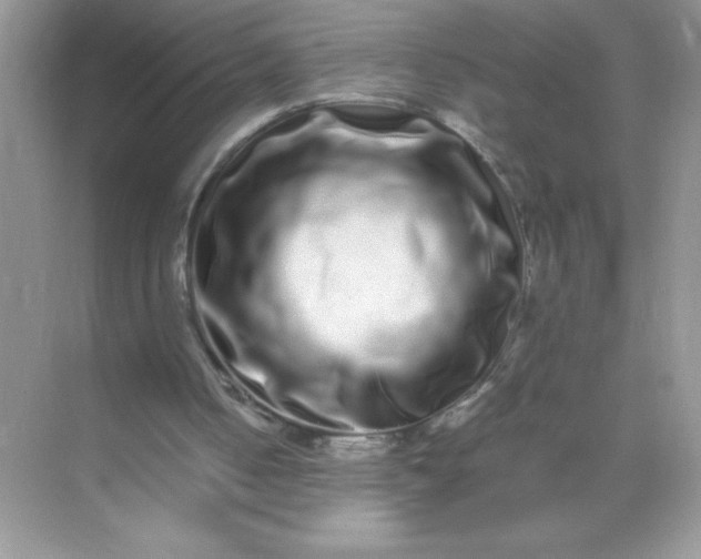 X0000071900050200607212027