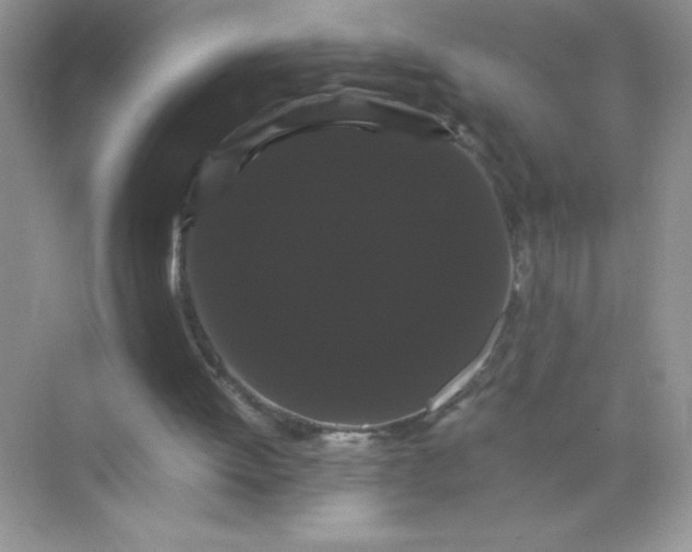 X0000071900052200607212027