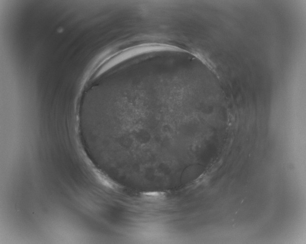 X0000071900053200607212027