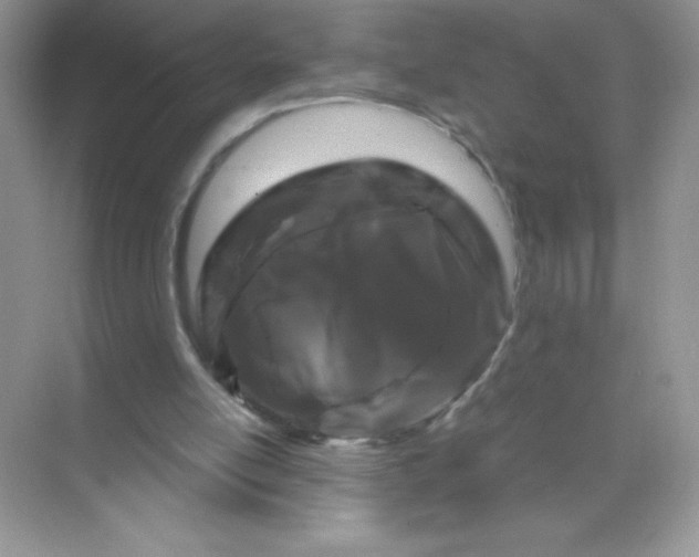 X0000071900054200607212027