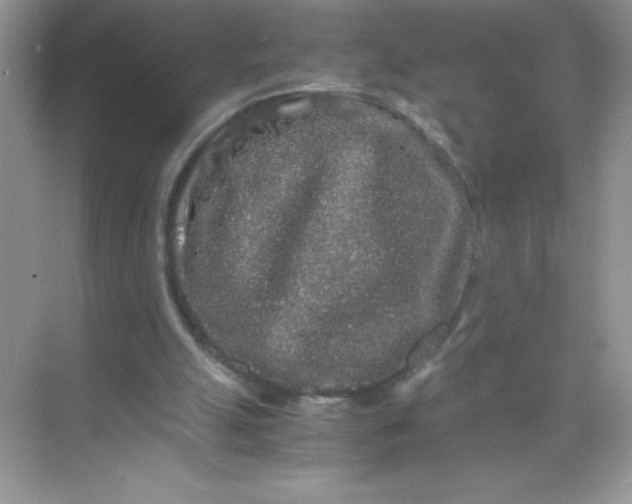 X0000071900055200607212027