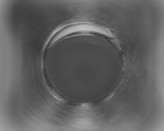 X0000071900056200607212027