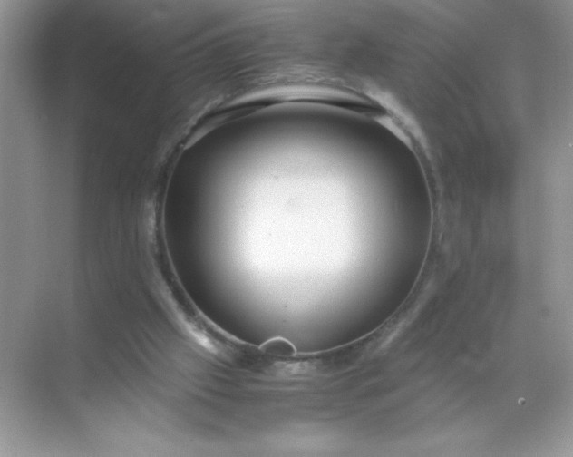 X0000071900057200607212027