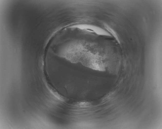 X0000071900059200607212027