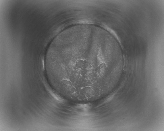 X0000071900061200607212027