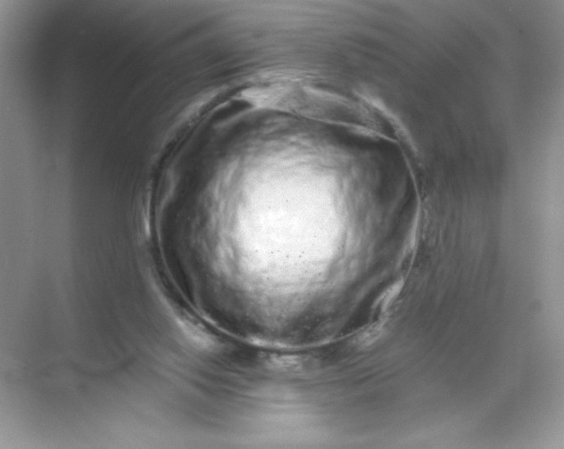 X0000071900062200607212027