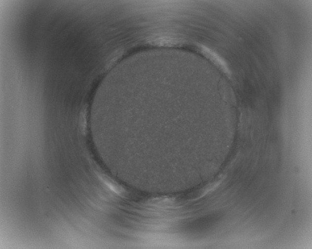 X0000071900065200607212027