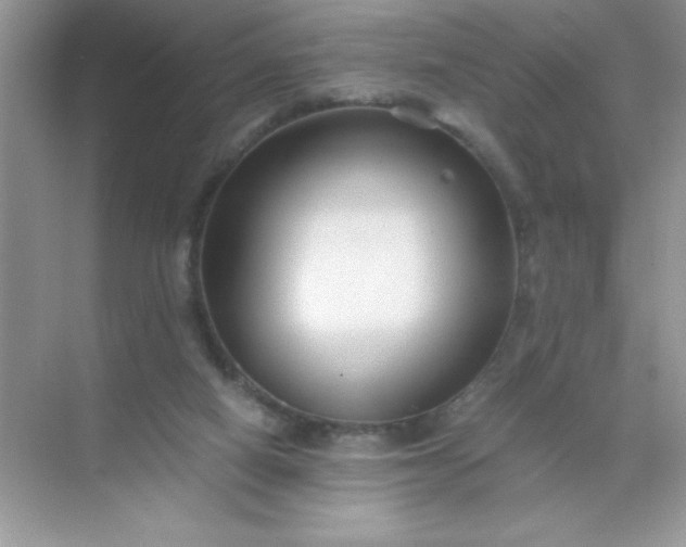 X0000071900066200607212027