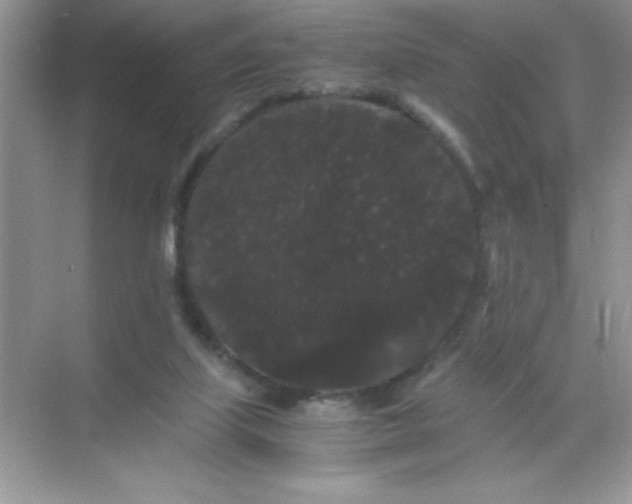 X0000071900067200607212027