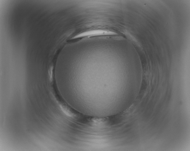 X0000071900070200607212027