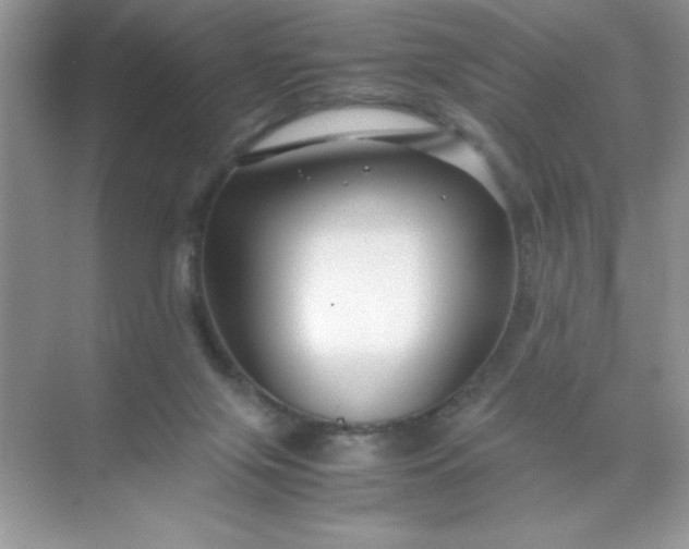 X0000071900071200607212027