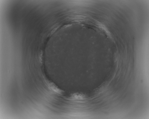 X0000071900073200607212027