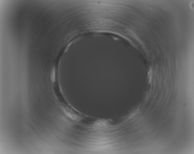 X0000071900076200607212027