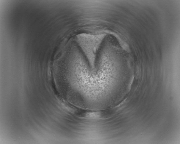 X0000071900078200607212027