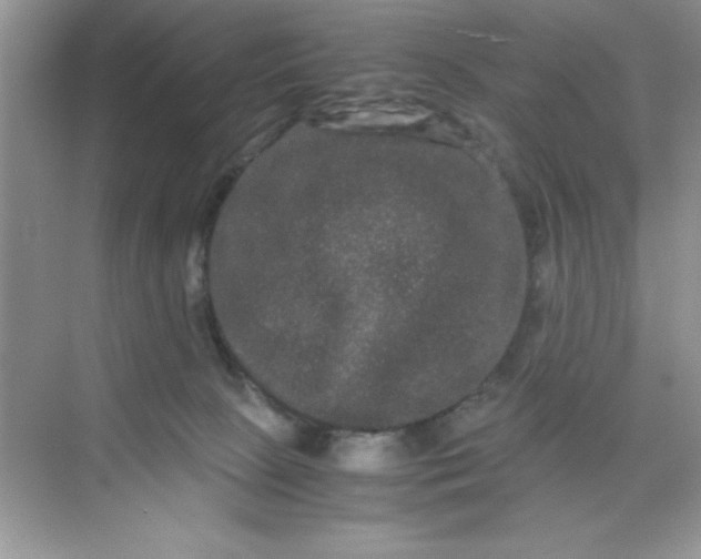 X0000071900081200607212027