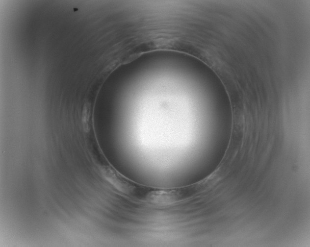 X0000071900082200607212027