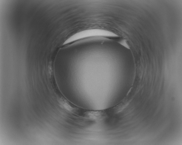 X0000071900085200607212027