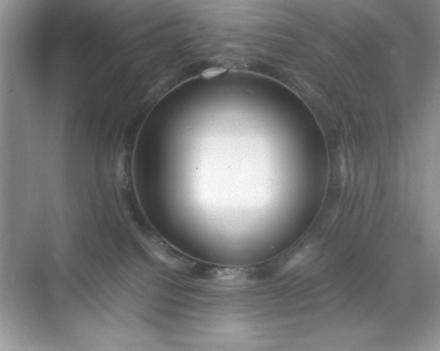 X0000071900088200607212027