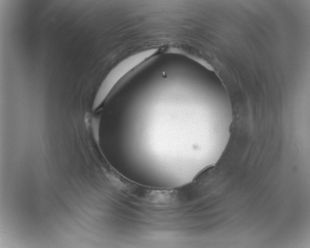 X0000071900089200607212027