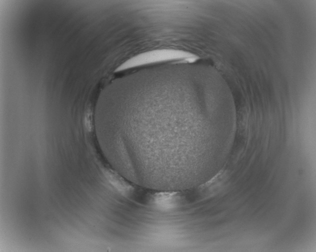 X0000071900090200607212027