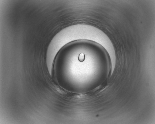 X0000071900092200607212027