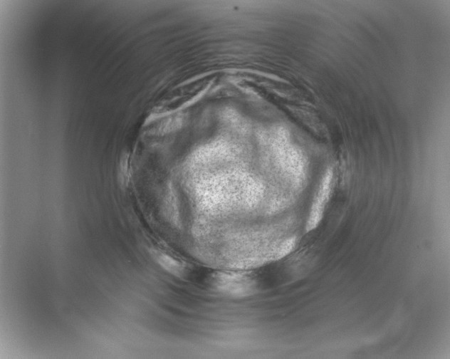 X0000071900093200607212027