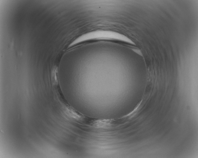 X0000071900094200607212028