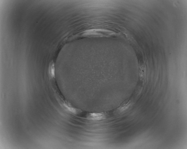 X0000071900095200607212028