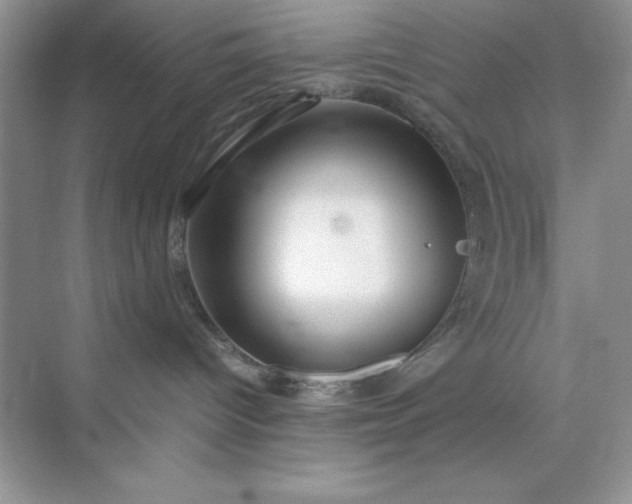 X0000071900096200607212028