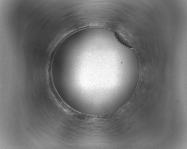 X0000071900098200607212027