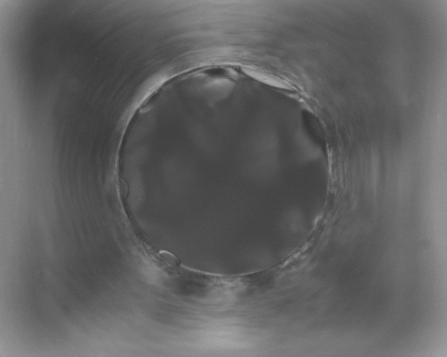 X0000071900099200607212027