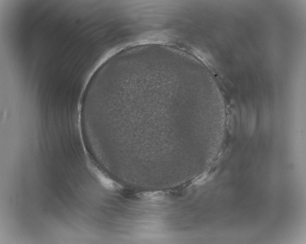 X0000071900100200607212027