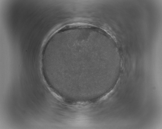 X0000071900101200607212027