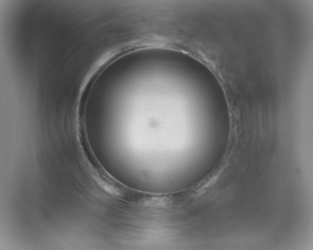 X0000071900102200607212027