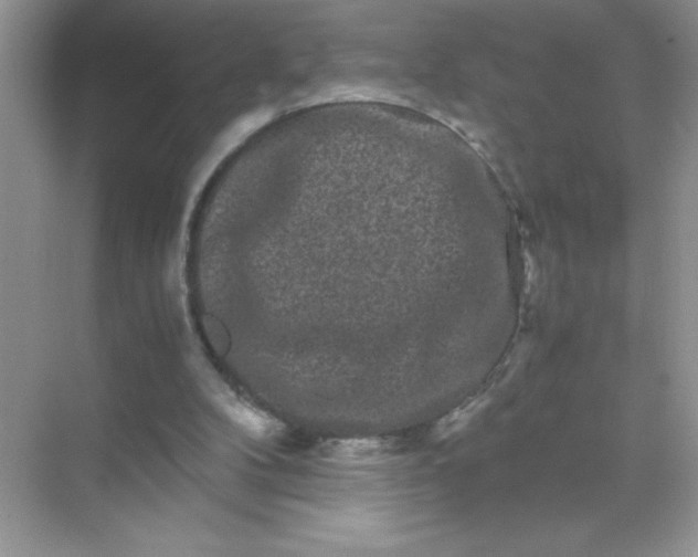 X0000071900104200607212027