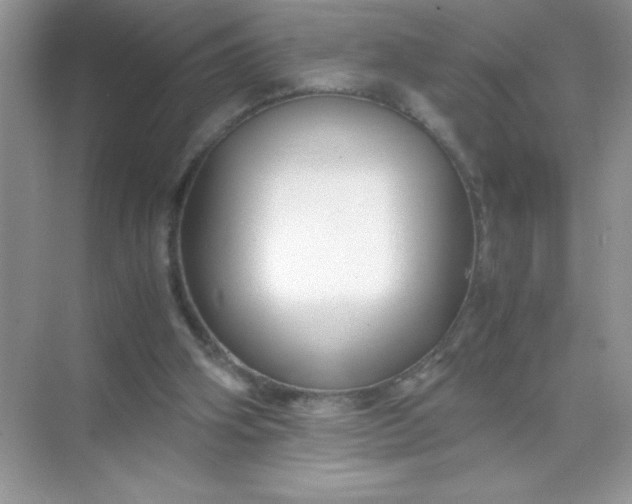 X0000071900106200607212027