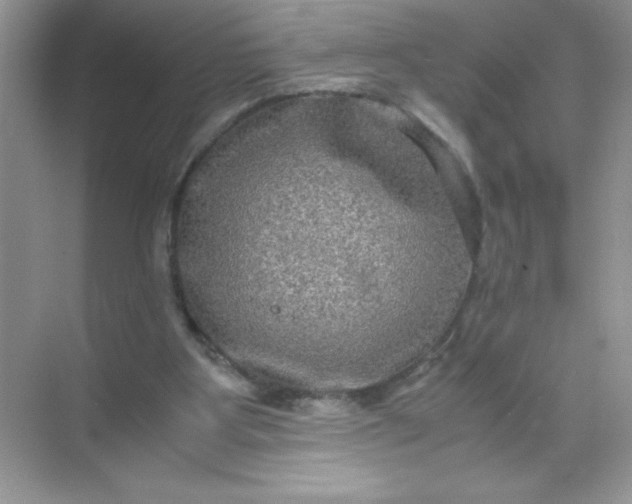 X0000071900107200607212027