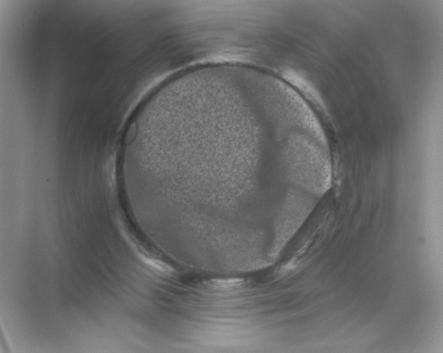 X0000071900108200607212027