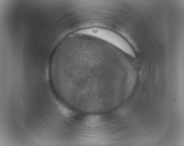 X0000071900110200607212027